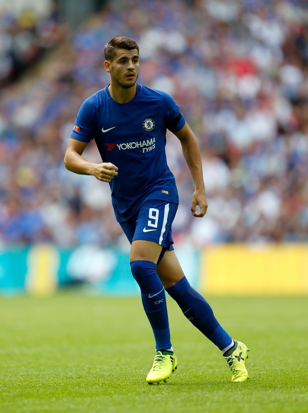 为佩佩职业 为佩佩职业